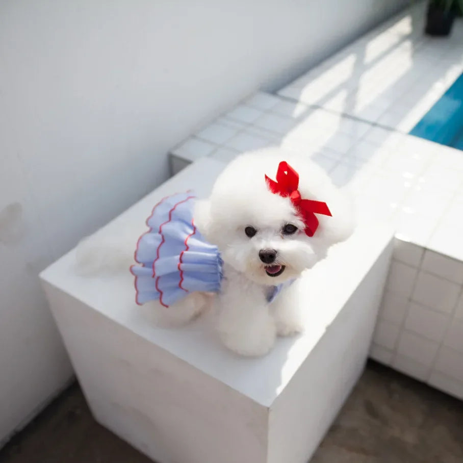 Dog Summer Dress Cat Skirt Pet Clothing Chihuahua Teddy Skirt Puppy Cat Princess Apparel Cute Puppy