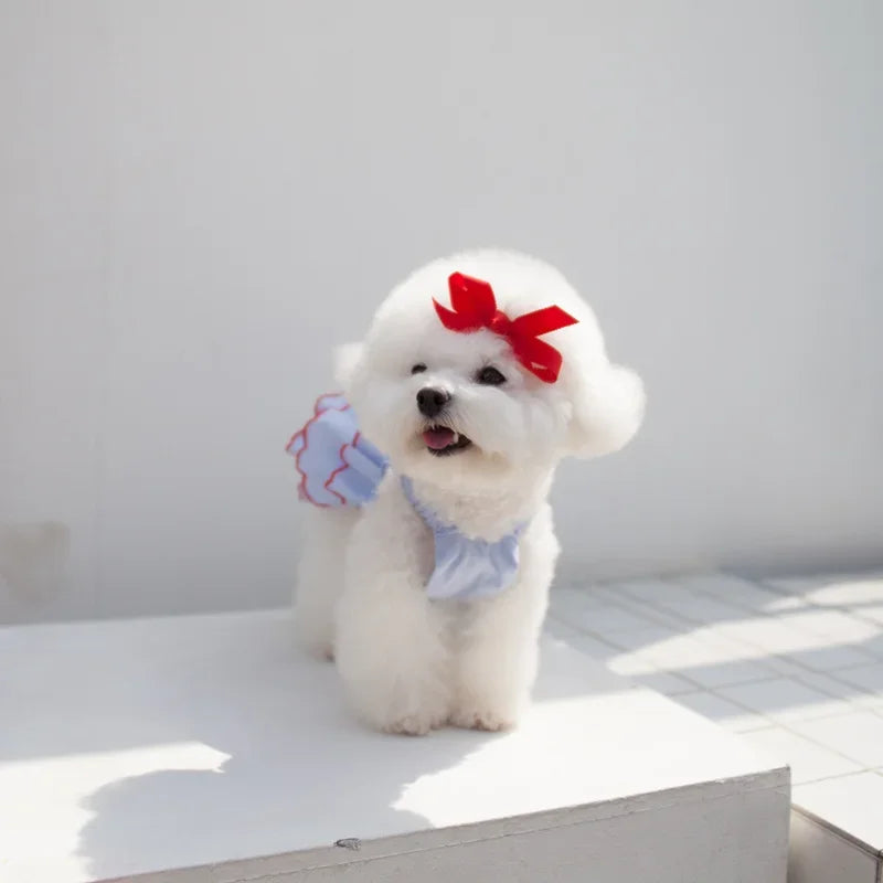 Dog Summer Dress Cat Skirt Pet Clothing Chihuahua Teddy Skirt Puppy Cat Princess Apparel Cute Puppy