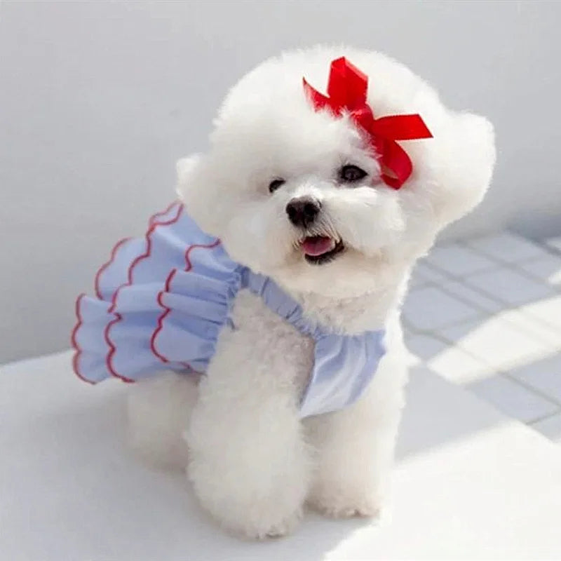 Dog Summer Dress Cat Skirt Pet Clothing Chihuahua Teddy Skirt Puppy Cat Princess Apparel Cute Puppy